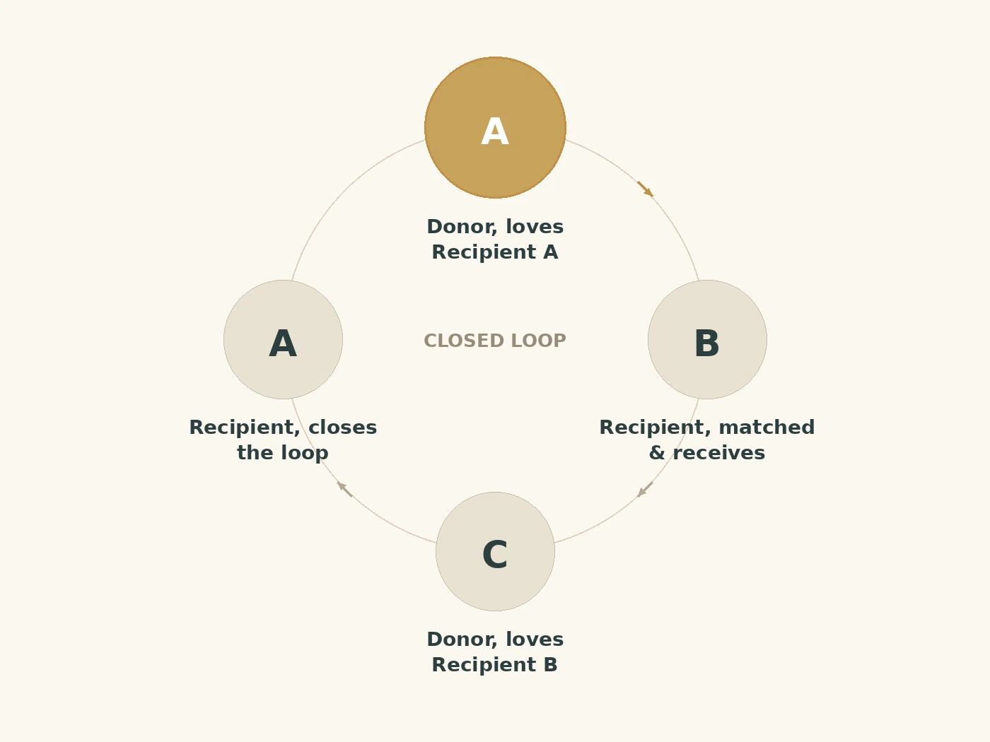 Circular diagram: Donor A gives to Recipient B, Donor B gives to Recipient C, and Donor C gives to Recipient A, closing the loop.
