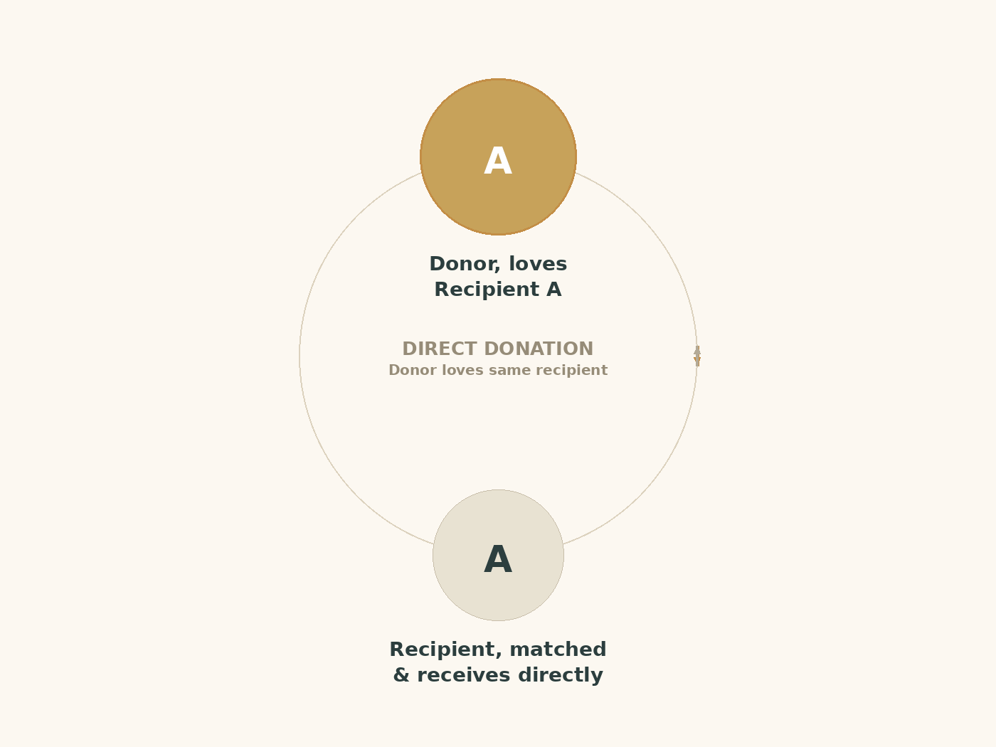 Diagram illustrating direct donation: one donor gives a kidney directly to one specific recipient.